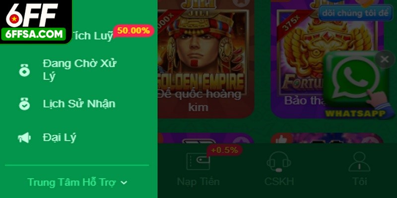 Chương trình đại lý 6FF được hiểu là gì